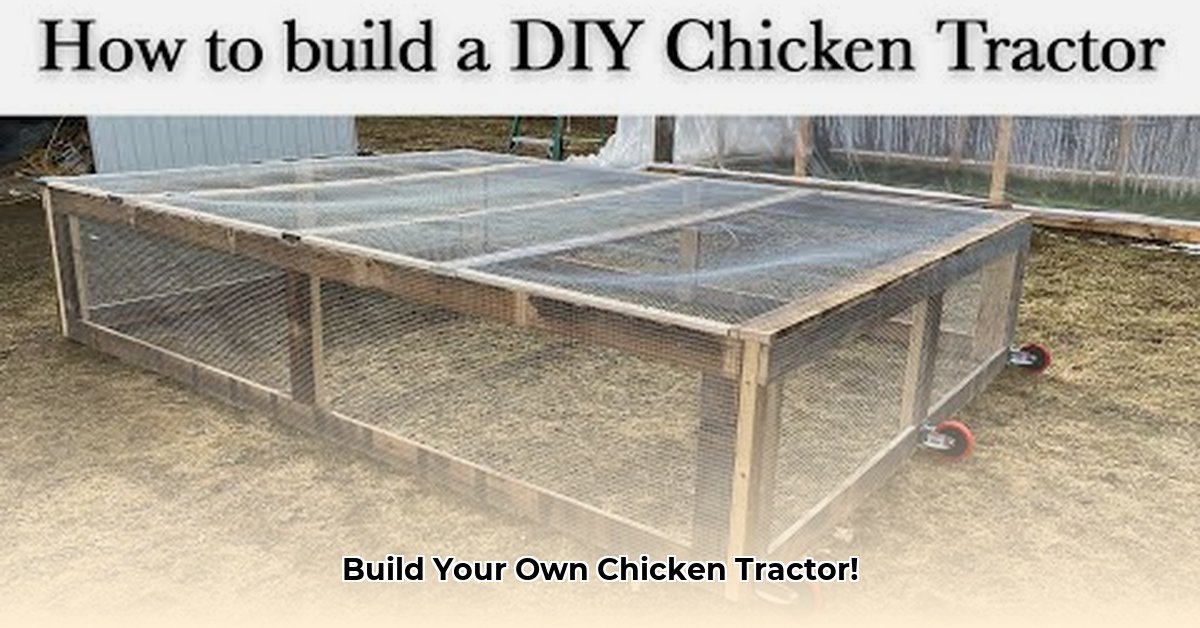 diy-easy-chicken-tractor